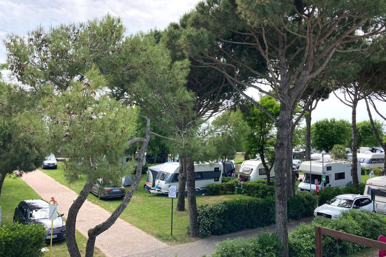d_Cavallino_06