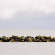 Weitere Turniere in Damp
