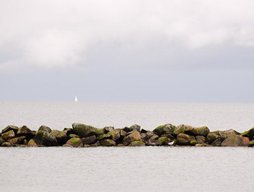Weitere Turniere in Damp